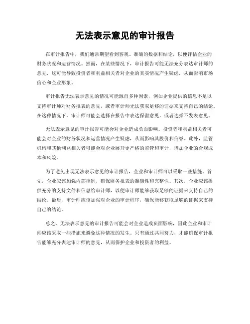 无法表示意见的审计报告