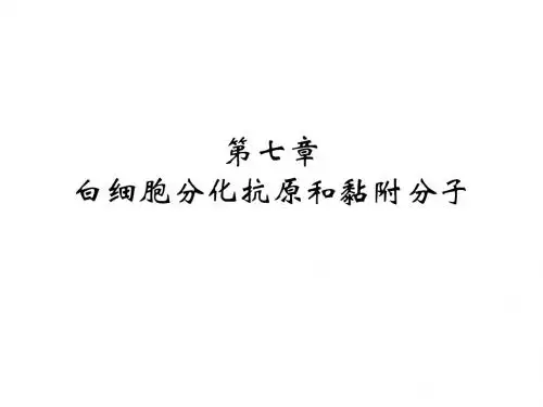 医学免疫学7白细胞分化抗原和黏附分子