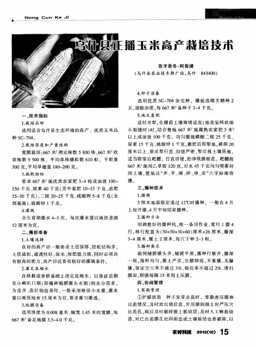 播玉米高产栽培技术