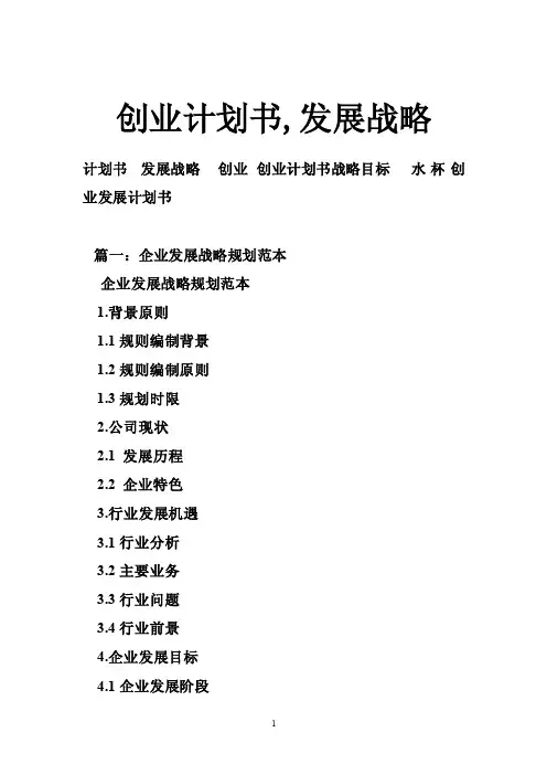 创业计划书,发展战略