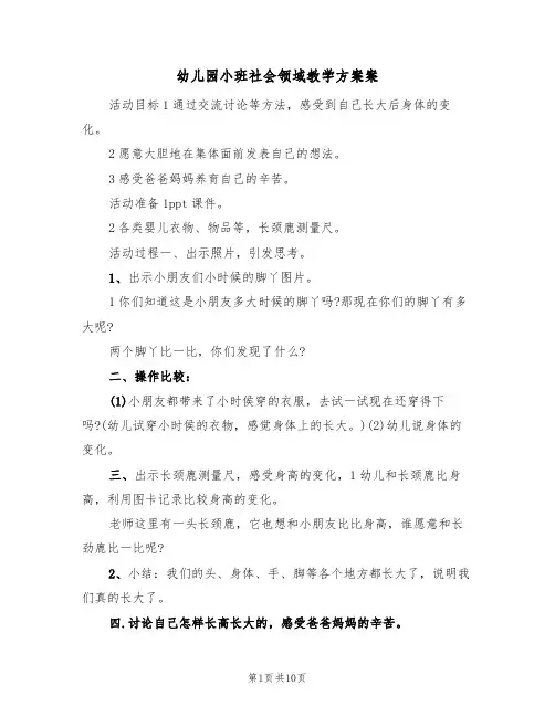幼儿园小班社会领域教学方案案（五篇）