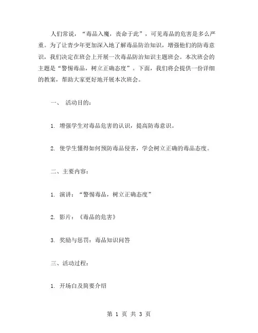 毒品防治知识主题班会教案