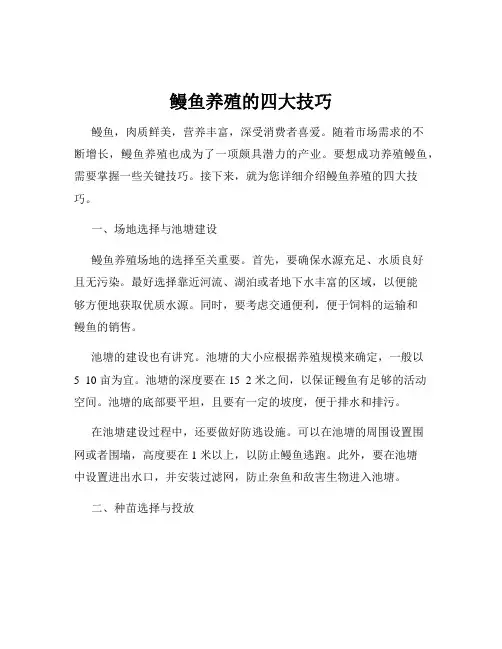 鳗鱼养殖的四大技巧