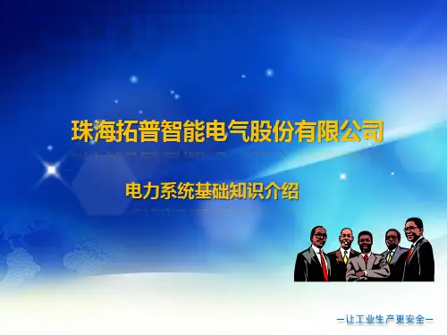 2014年电力系统经典培训教材