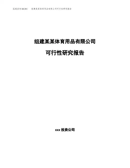 组建某某体育用品有限公司可行性研究报告 (1)