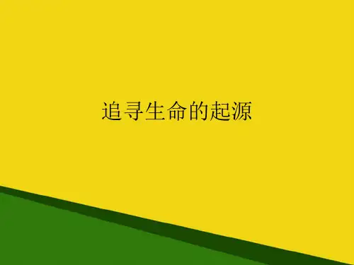 追寻生命的起源推荐PPT资料