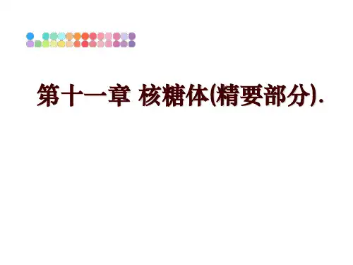 最新第十一章 核糖体(精要部分).PPT课件