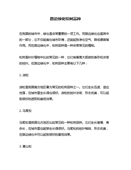 路边绿化松树品种