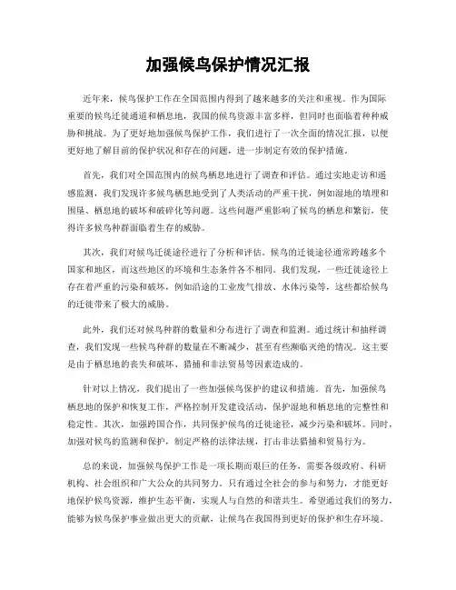 加强候鸟保护情况汇报