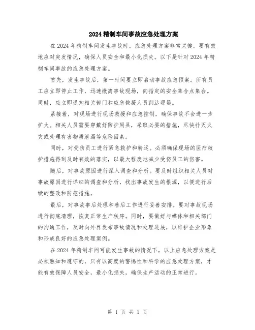 2024精制车间事故应急处理方案