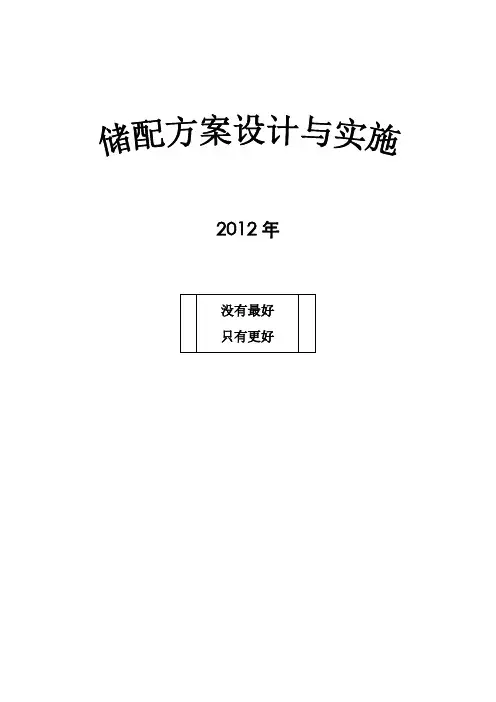 储配优化设计方案经典