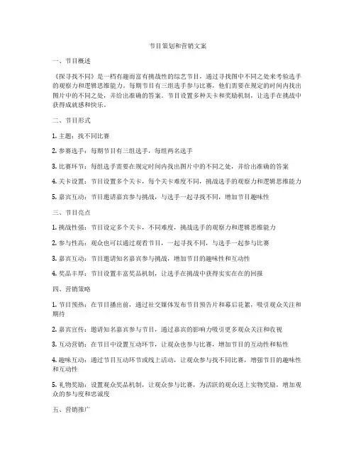 节目策划和营销文案