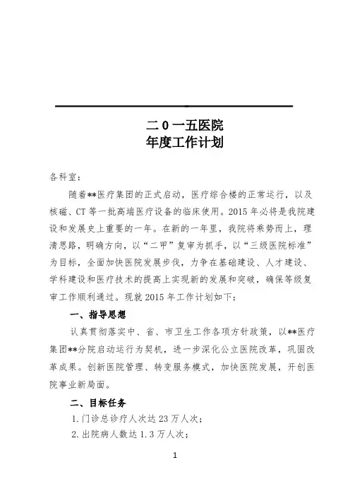 2015年医院工作计划