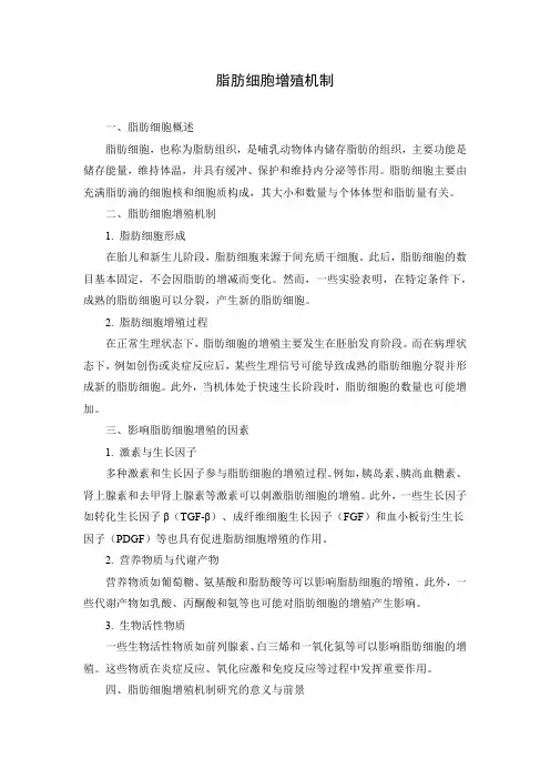 脂肪细胞增殖机制