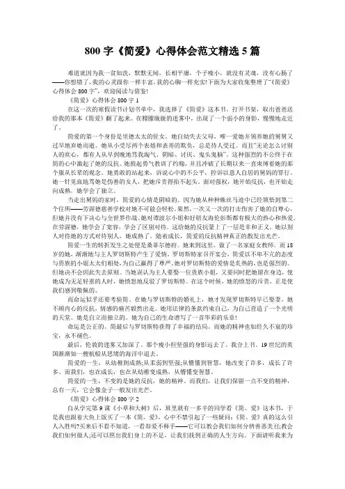 800字《简爱》心得体会范文精选5篇