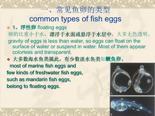 不同鱼卵的孵化方法及罗非鱼繁殖2