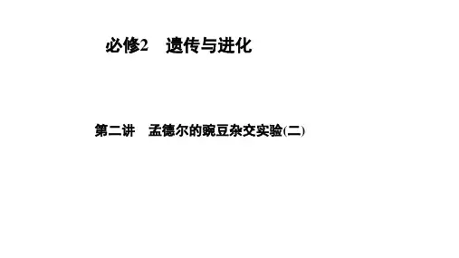 高中生物自由组合“实验法”验证遗传定律