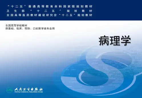病理学-传染病