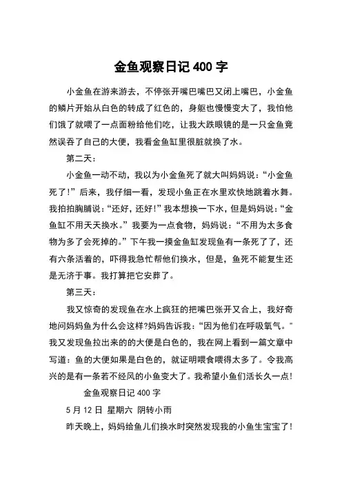 金鱼观察日记400字