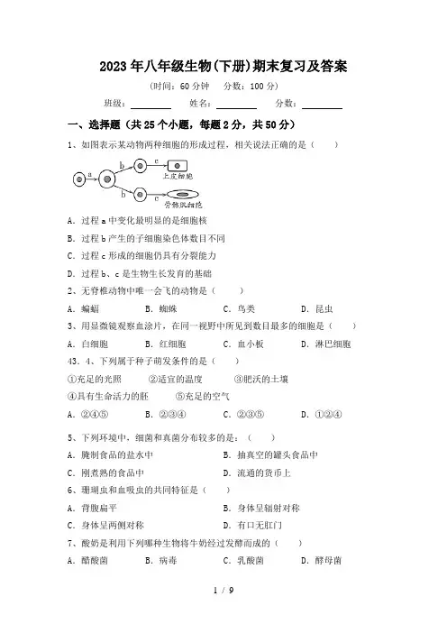2023年八年级生物(下册)期末复习及答案