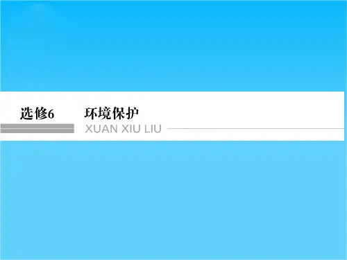 高考地理一轮复习 环境保护课件