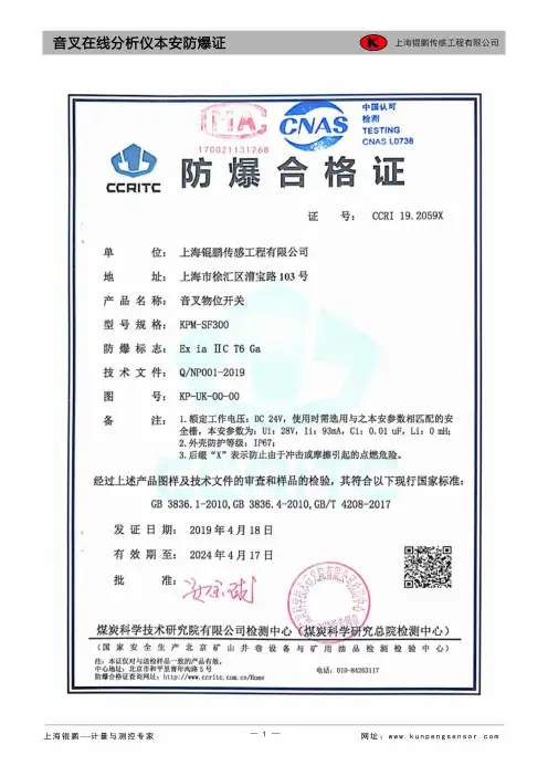 SF300(N)智能音叉开关说明书