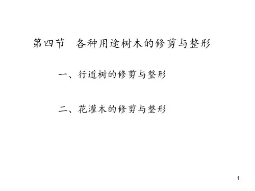 各种树木的整修与修剪 ppt课件