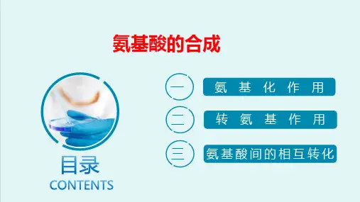 氨基酸代谢—氨基酸的生物合成(生物化学课件)