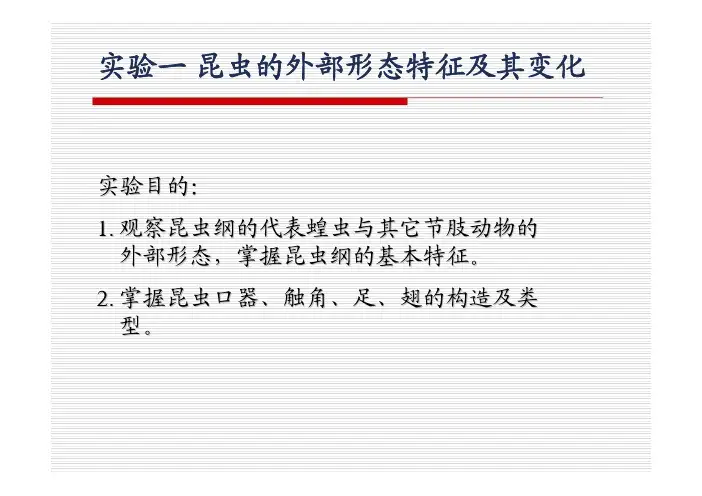实验一昆虫的外部形态特征及其变化