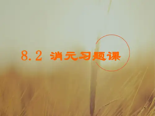 初一数学最新课件-七级数学消元习题课 精品