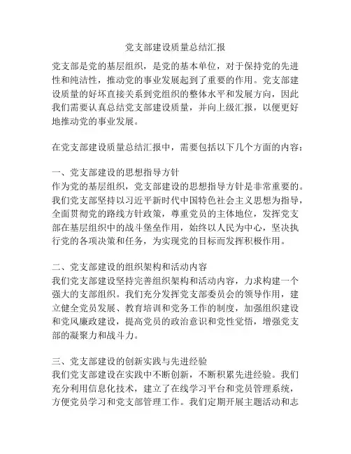 党支部建设质量总结汇报