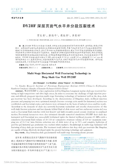 DY2HF深层页岩气水平井分段压裂技术