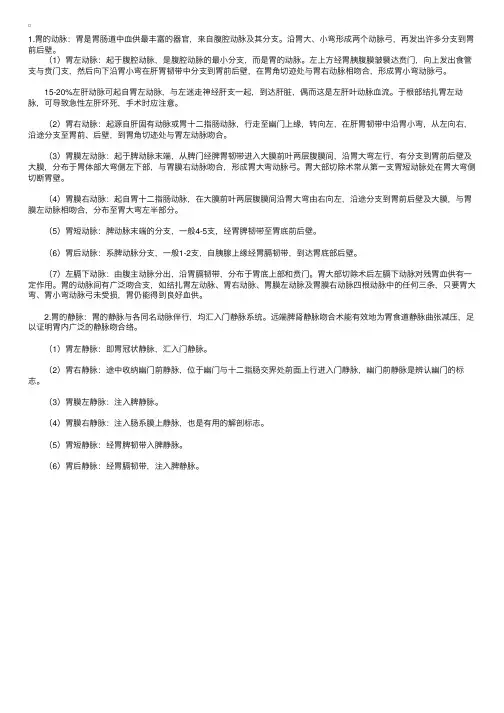 解剖指导：胃的血管