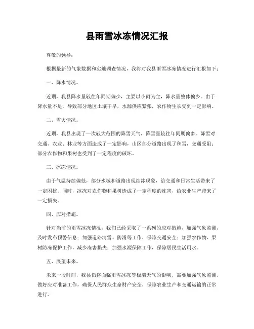 县雨雪冰冻情况汇报