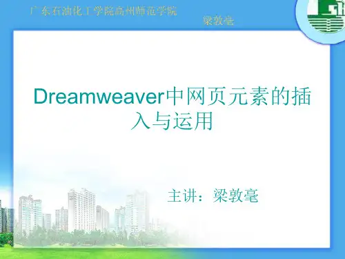 第4讲 Dreamweaver中网页元素的插入与运用