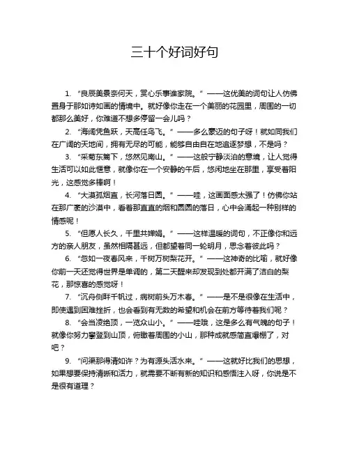 三十个好词好句
