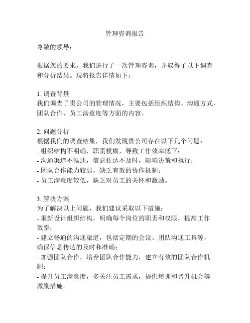 管理咨询报告
