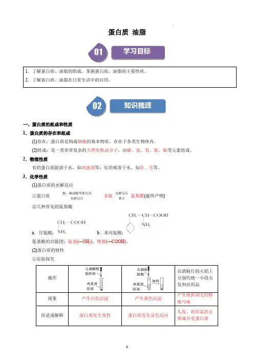 高中化学必修二教案讲义：蛋白质 油脂(教师版)
