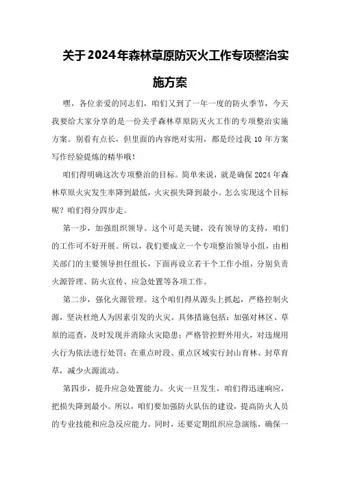 关于2024年森林草原防灭火工作专项整治实施方案