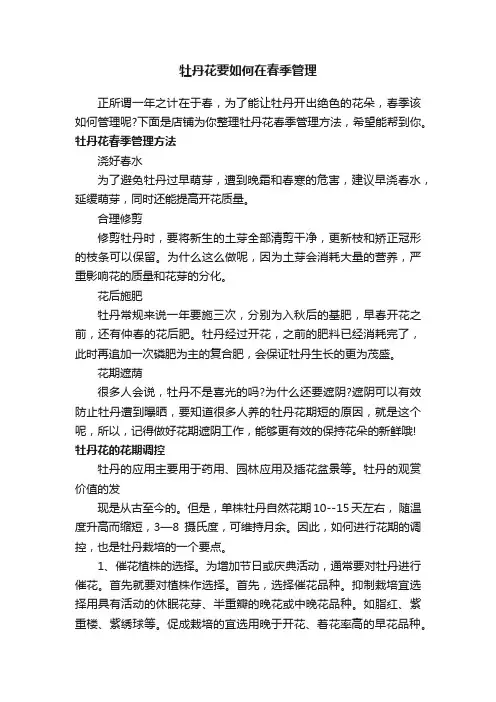 牡丹花要如何在春季管理