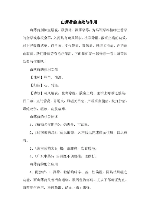 山薄荷的功效与作用