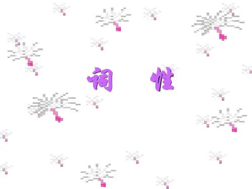 语文词性讲解 