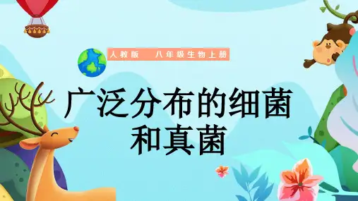 初中生物人教版八年级上册《广泛分布的细菌和真菌》PPT课件