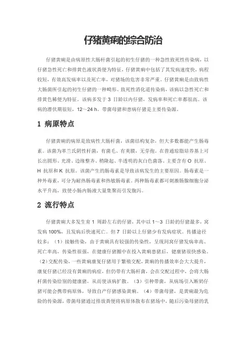 仔猪黄痢的综合防治