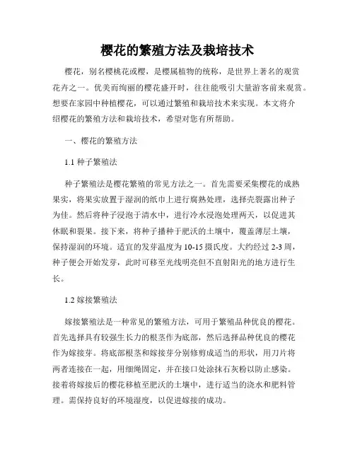 樱花的繁殖方法及栽培技术