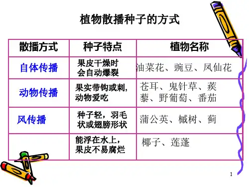 动物的繁殖活动1PPT课件
