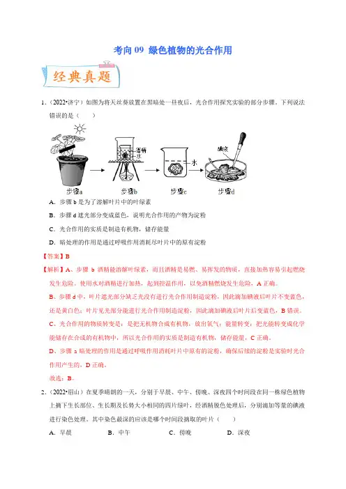 考向09 绿色植物的光合作用-备战2023年中考生物一轮复习考点微专题(解析版)