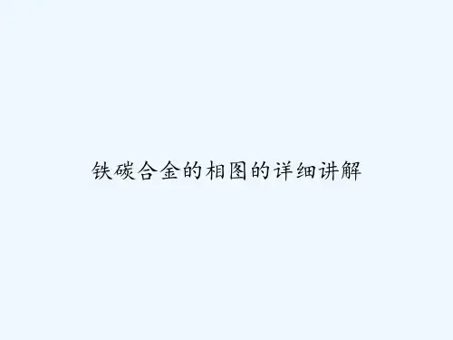 铁碳合金的相图的详细讲解 PPT