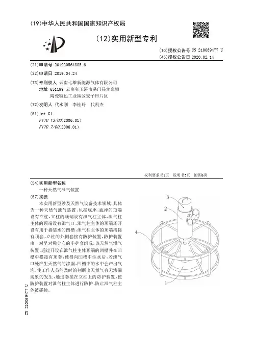 【CN210069477U】一种天然气泄气装置【专利】