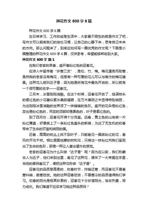 种花作文600字6篇